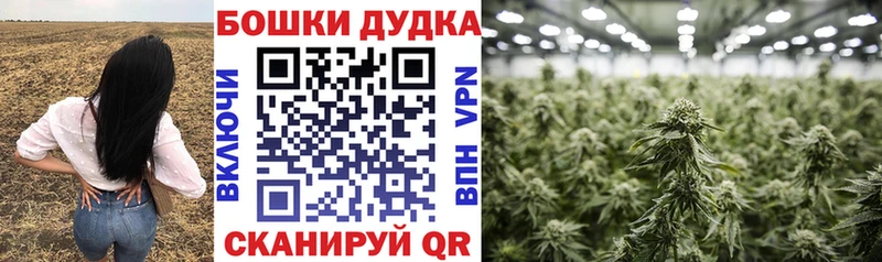 Каннабис план  Купить закладки  Серов 